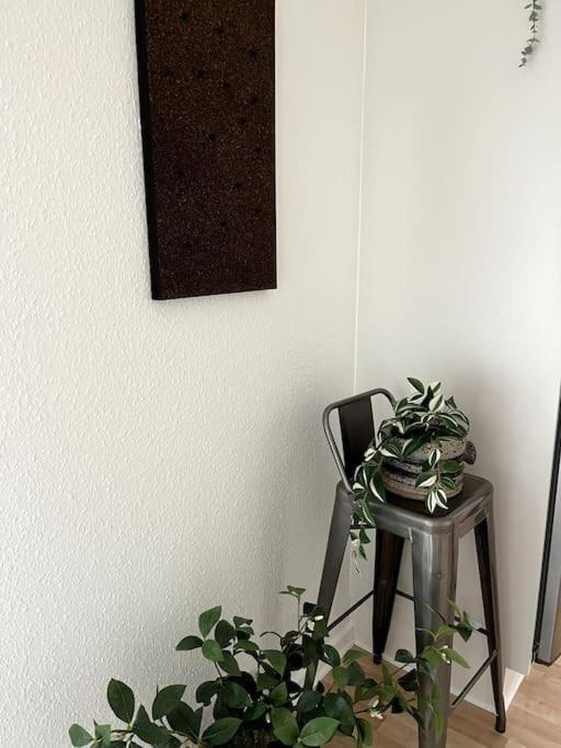 Moderne Lejlighed I Hjertet Af Odense C Apartment ภายนอก รูปภาพ