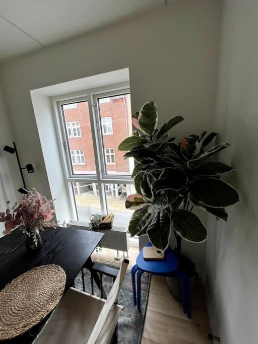 Moderne Lejlighed I Hjertet Af Odense C Apartment ภายนอก รูปภาพ